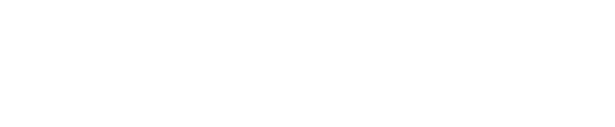 CSTI - Coco Shell Trading & Innovations